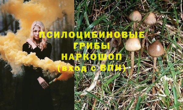хмурый Алексеевка