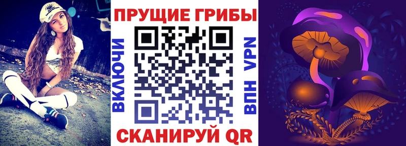 Галлюциногенные грибы GOLDEN TEACHER  купить  цена  Красногорск 