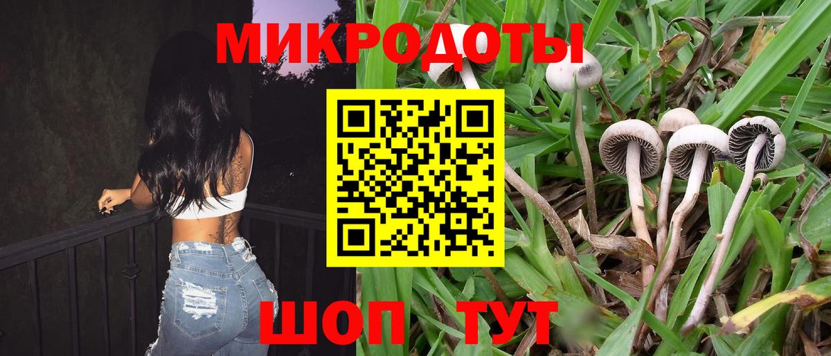 Псилоцибиновые грибы GOLDEN TEACHER Красногорск