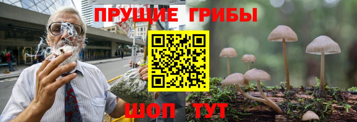 Красногорск  Псилоцибиновые грибы Psilocybine cubensis  сколько стоит  Вход с VPN 